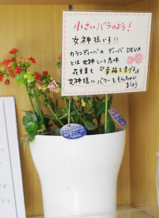 お花屋さんのpopで さっそく効果あり 新宿の設計事務所 店舗 オフィスの設計 牧野直子