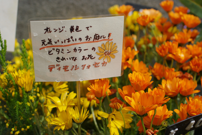 お花屋さんのポップは 効果いっぱい 新宿の設計事務所 店舗 オフィスの設計 牧野直子